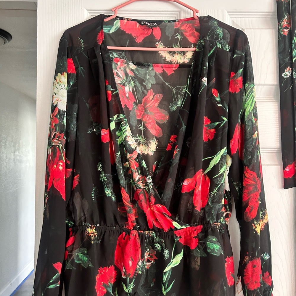 Express Black and Red Floral Dress